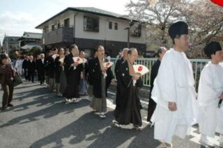 ≪4月≫　満開の桜花の下に鶴は舞う