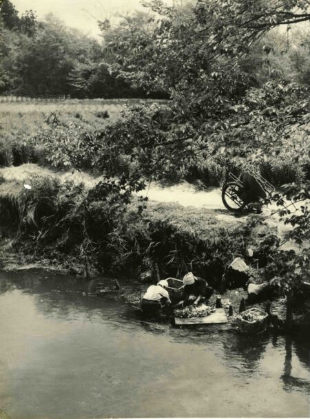 練馬の水系