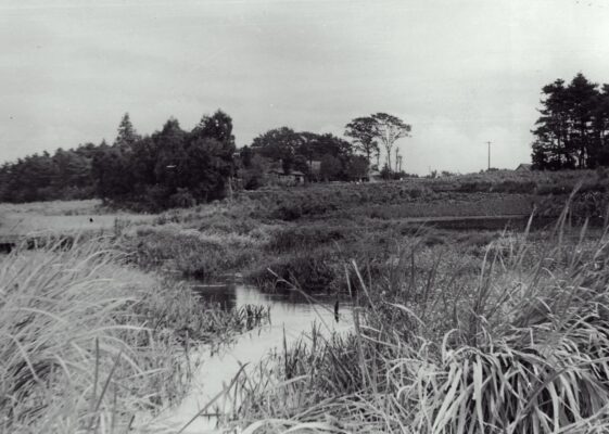 白子川の名称と源流