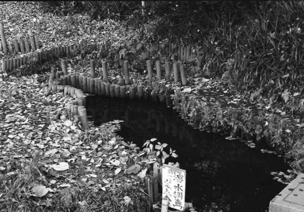 白子川水系と主な湧水池（２）