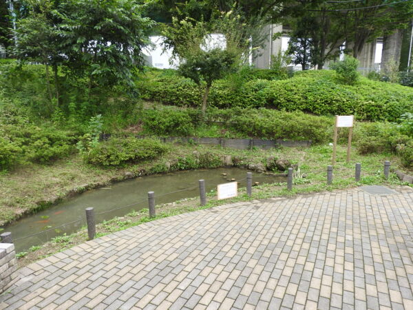 白子川水系と主な湧水池（２）