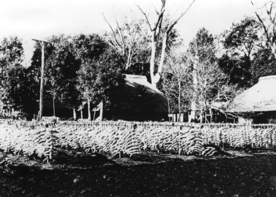 (4)練馬の農業(その1)ー明治期までー